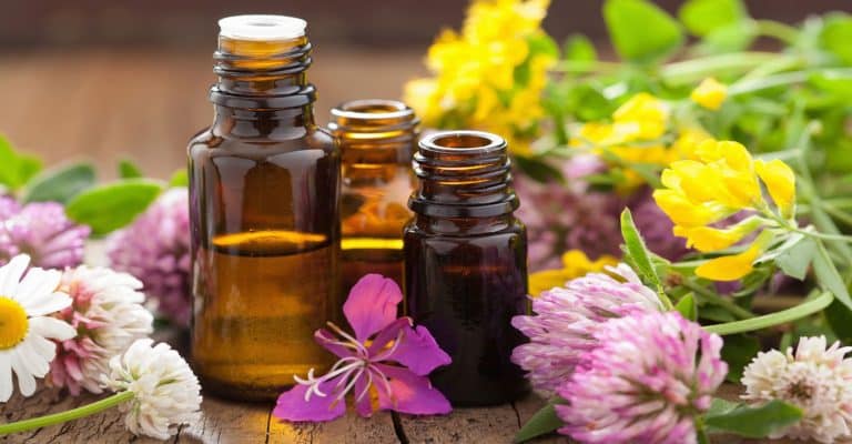 Une beauté bio garantie avec les huiles végétales