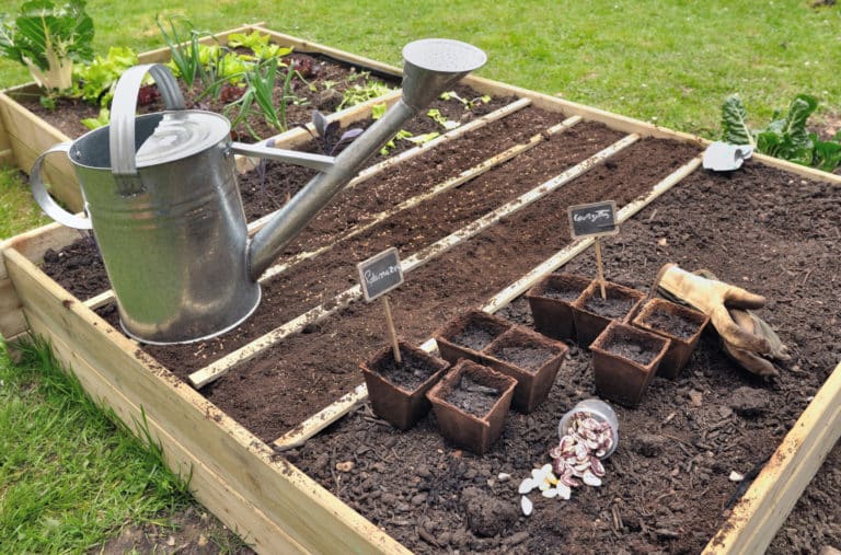 Fabriquer un potager en palette avec les moyens du bord