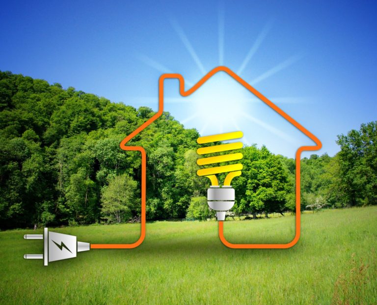 Des marques pour certifier une habitation verte