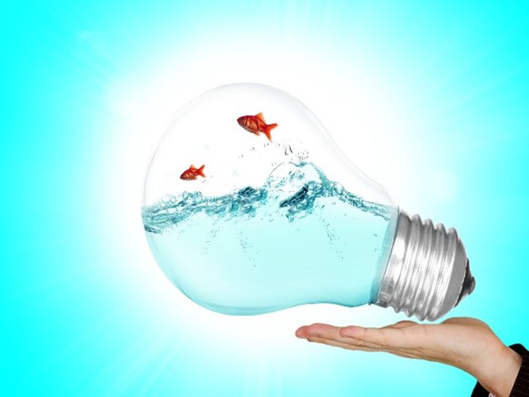 Comment faire de l’économie d’énergie à la maison ?