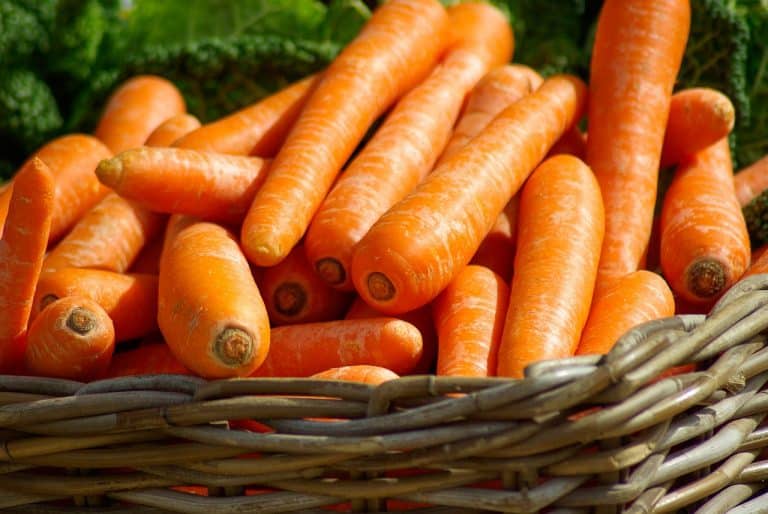 Toutes les options d’arrosage possible