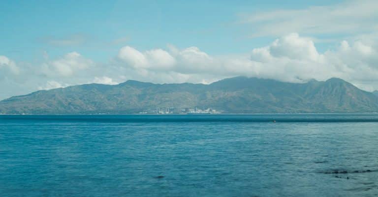 Comment passer une journée éco-touristique en forêt tropicale ?