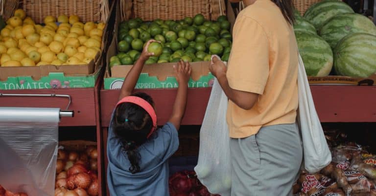 Quelles sont les spécificités de l&rsquo;artisanat écologique local?
