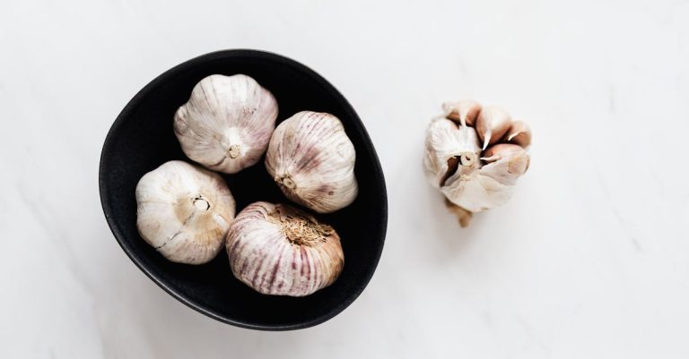 Comment préparer une recette vegan rapide ?