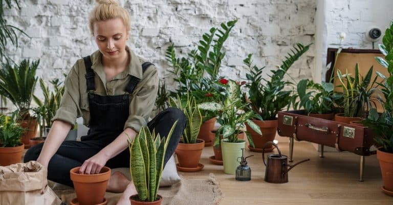 Comment pratiquer le jardinage bio en ville ?