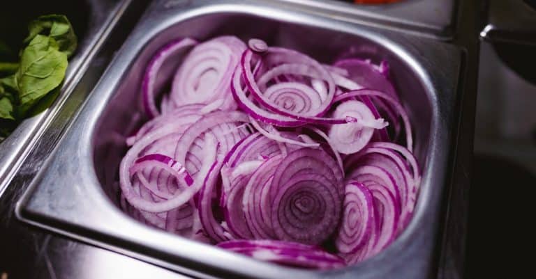 Quelles sont les bases pour découvrir la cuisine végane ?
