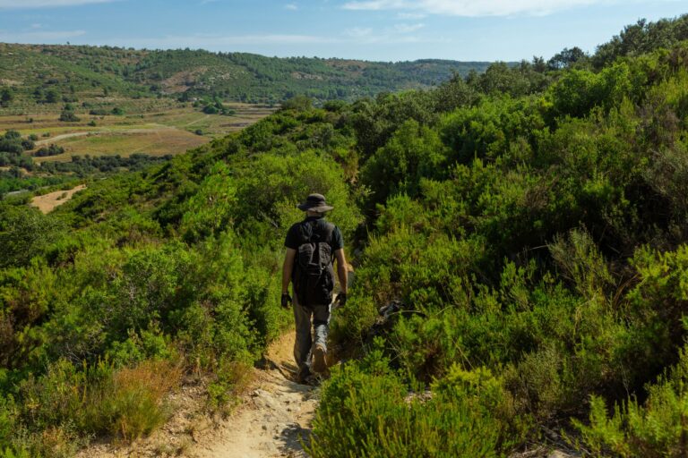 Comment profiter d&rsquo;une balade écologique en campagne ?