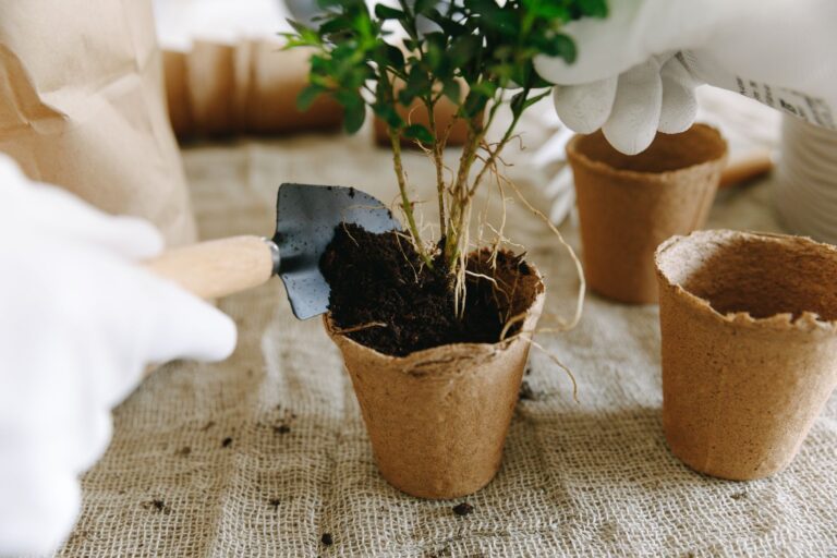 Comment réussir sa formation pour un potager en permaculture ?