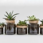 Comment créer une décoration écologique pour votre maison avec un atelier de décoration ?