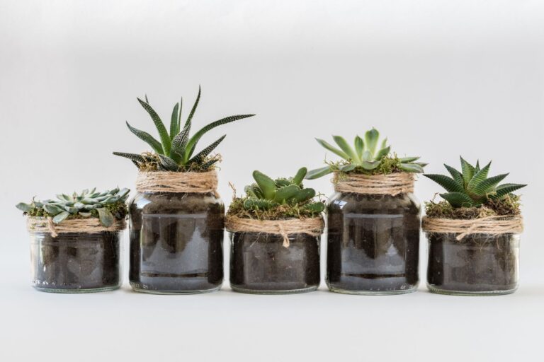 Comment créer une décoration écologique pour votre maison avec un atelier de décoration ?