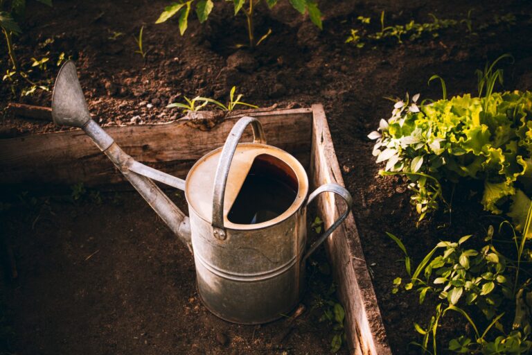 Pourquoi opter pour l&rsquo;agriculture biologique ?