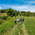 Comment organiser une journée éco-touristique en pleine campagne ?