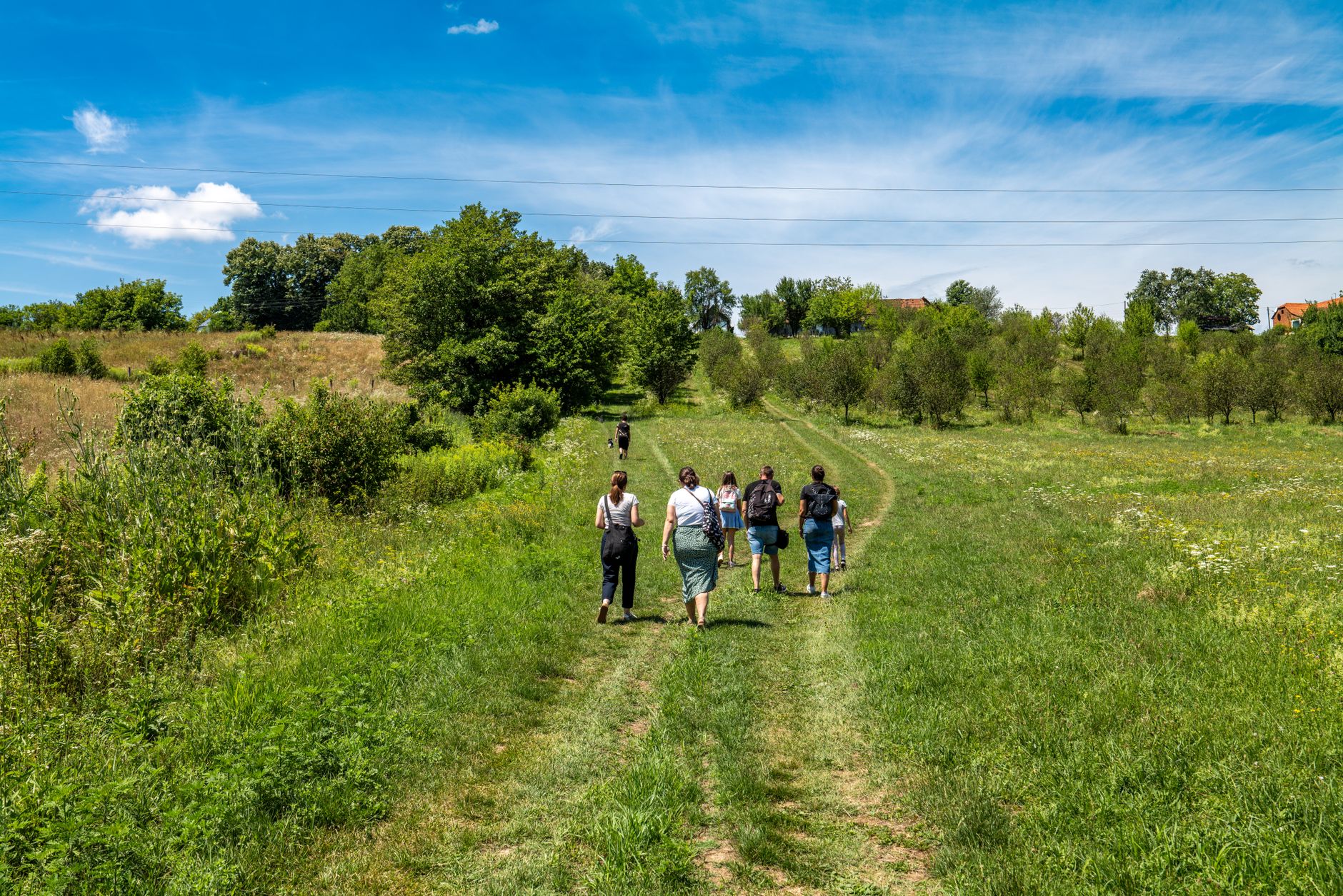 Comment organiser une journée éco-touristique en pleine campagne ?