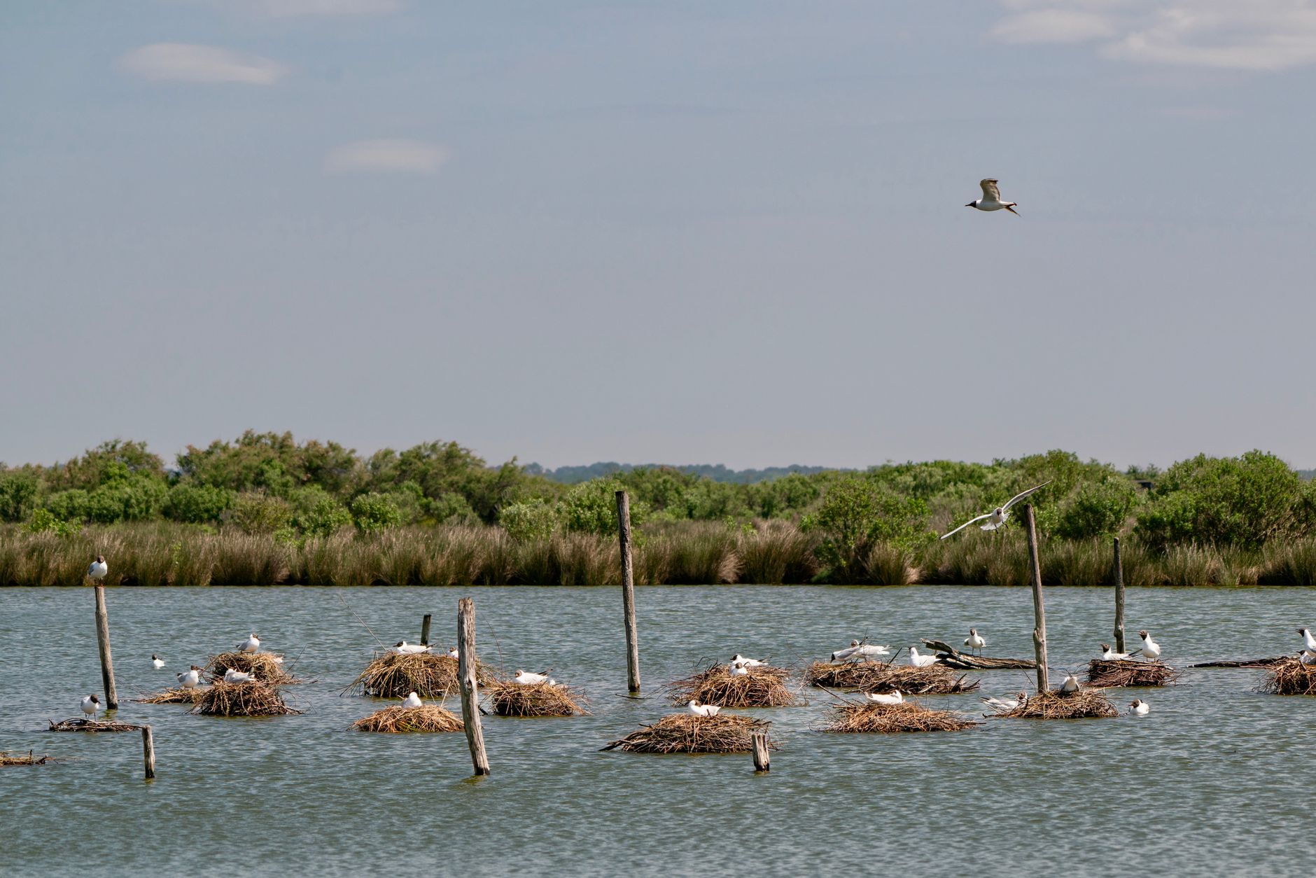 Comment promouvoir le tourisme durable dans une réserve naturelle ?