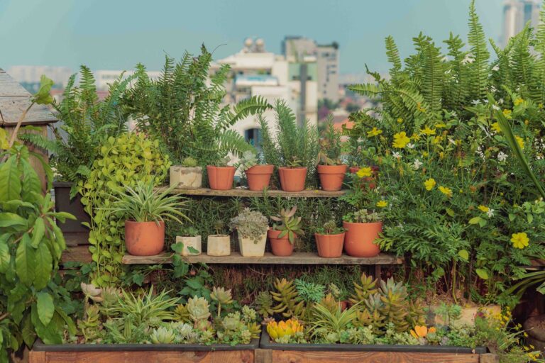 Qu&rsquo;est-ce que l&rsquo;agroécologie urbaine ?