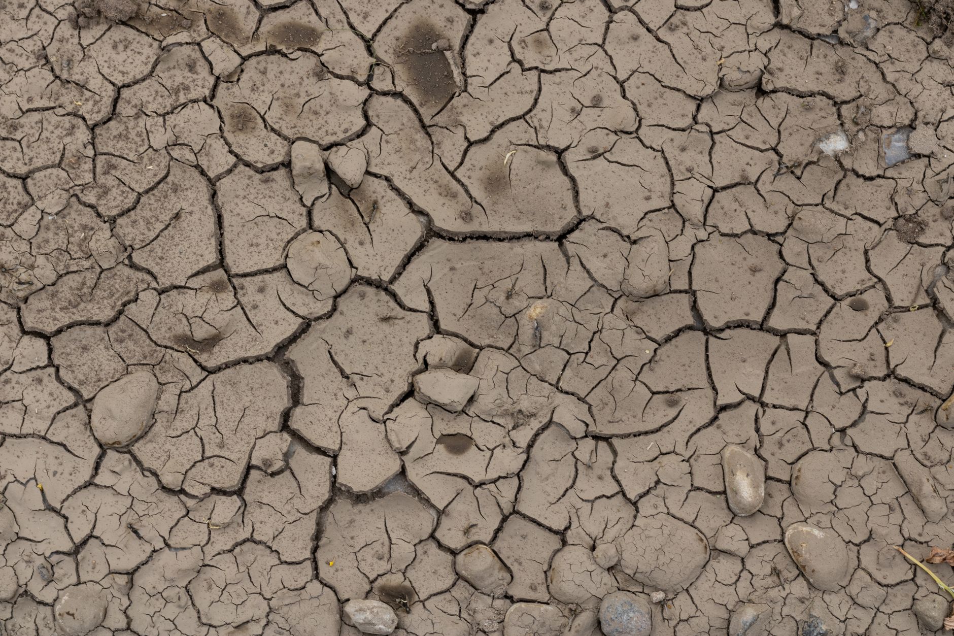 Nappes phréatiques : une ressource en eau qui ne se renouvelle pas